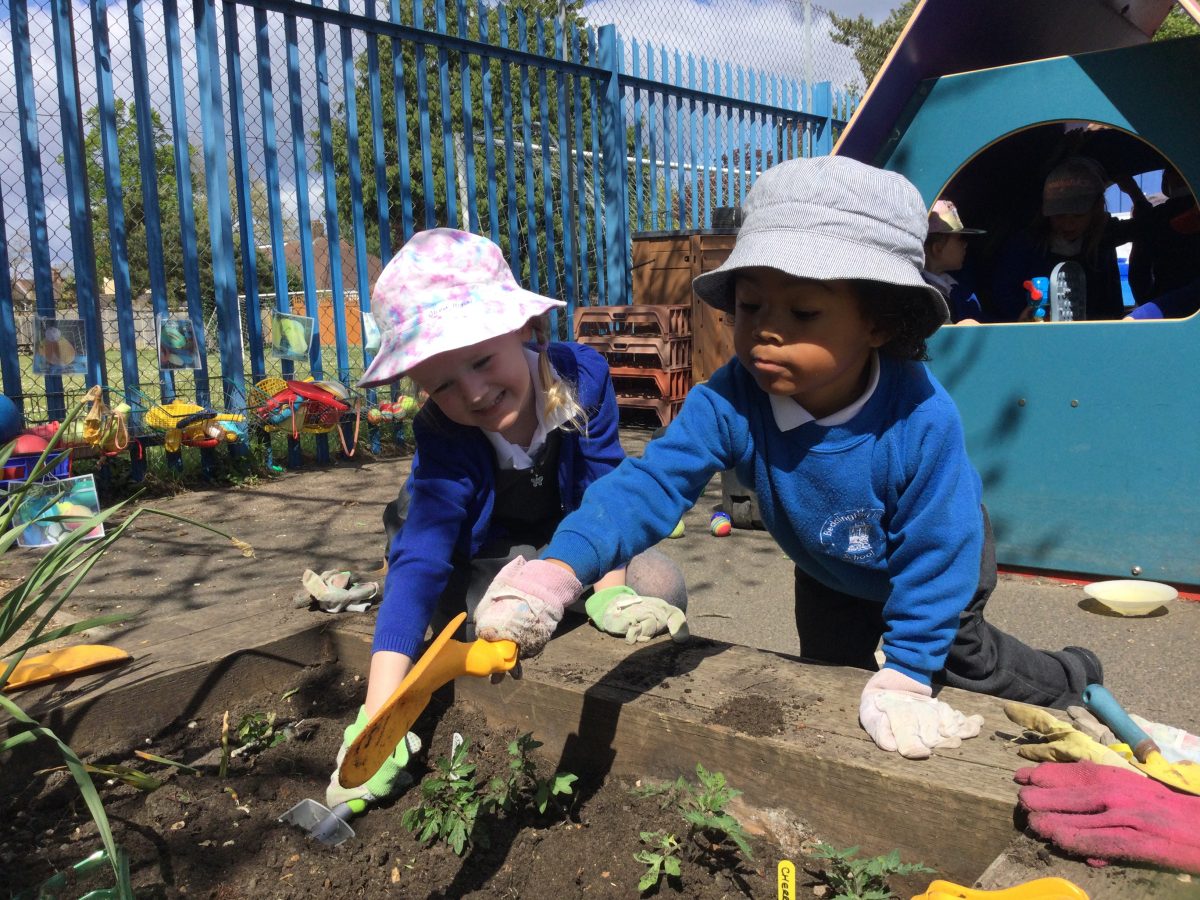 Beddington Infants' School Nursery planting